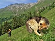 25 Usciti dal bosco in decisa salita su pratoni carichi d'erba